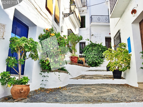 Image of Picturesque street decorated with plants, in Andalusia