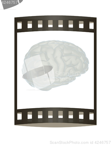 Image of 3D illustration of human brain. The film strip