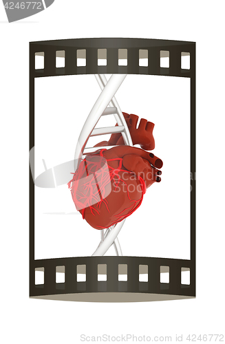 Image of DNA and heart. 3d illustration. The film strip