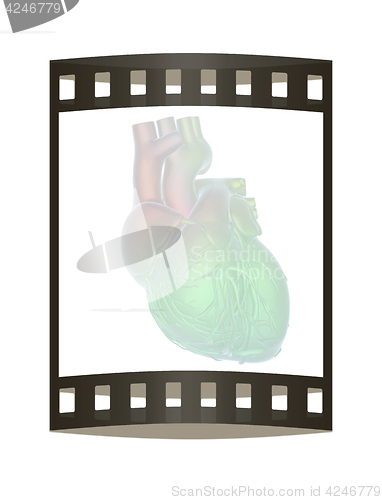 Image of Human heart and veins. 3D illustration.. The film strip