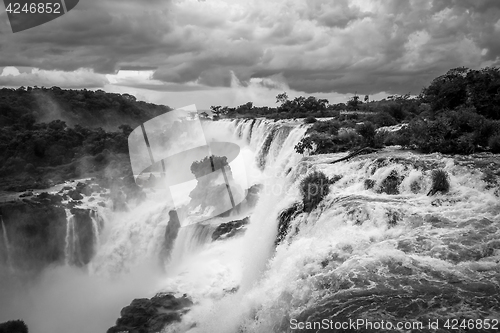Image of iguazu falls