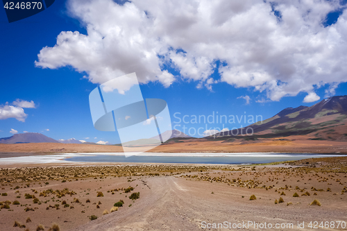 Image of Altiplano laguna in sud Lipez reserva, Bolivia