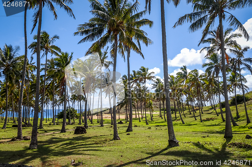 Image of Anakena palm beach and Moais statues site ahu Nao Nao, easter is