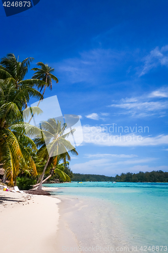 Image of Paradise tropical beach and lagoon in Moorea Island