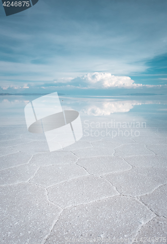 Image of Salar de Uyuni desert, Bolivia