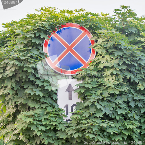 Image of Red stop sign with trees