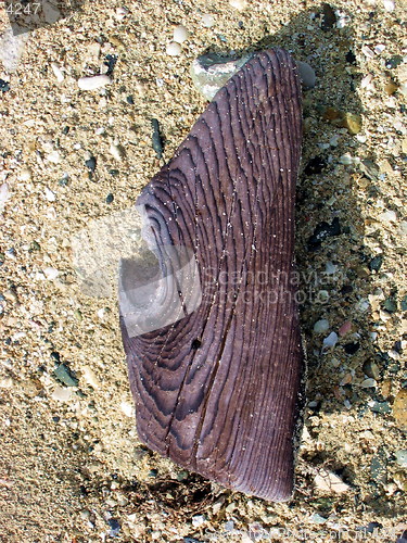 Image of Piece of wood