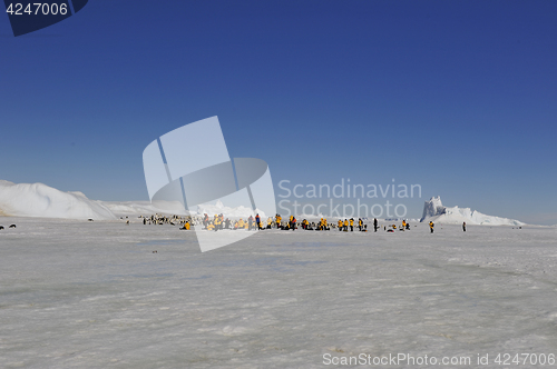 Image of Beautiful view of icebergs Snow Hill Antarctica