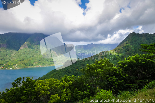 Image of Aerial view of Opunohu Bay and lagoon in Moorea Island