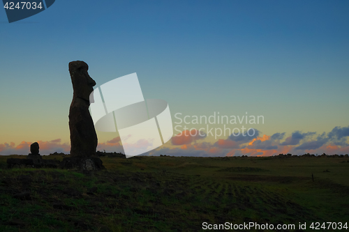 Image of Moai statue ahu akapu at sunset, easter island