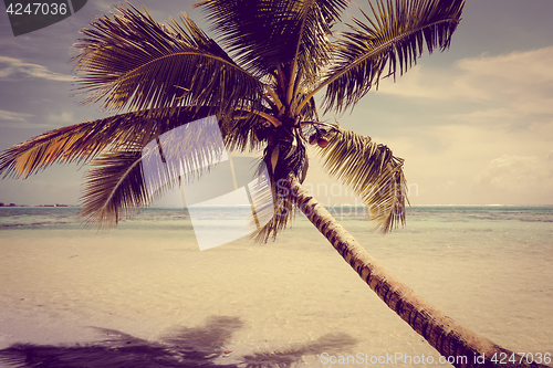 Image of Paradise tropical beach and lagoon in Moorea Island