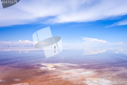 Image of Salar de Uyuni desert, Bolivia