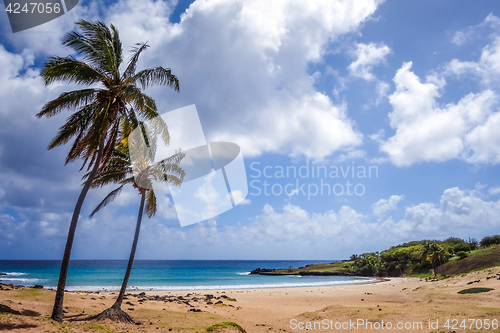 Image of Palm trees on Anakena beach, easter island