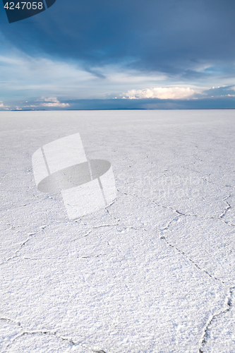 Image of Salar de Uyuni desert, Bolivia