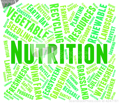 Image of Nutrition Word Shows Food Words And Nutriments