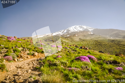 Image of Stratovolcano Mount Damavand