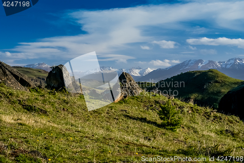 Image of Wilderness in Coyhaique