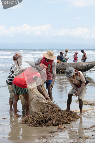 Image of Native Malagasy fishermen fishing on sea, Madagascar