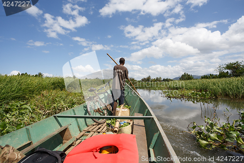 Image of Life in madagascar countryside on river