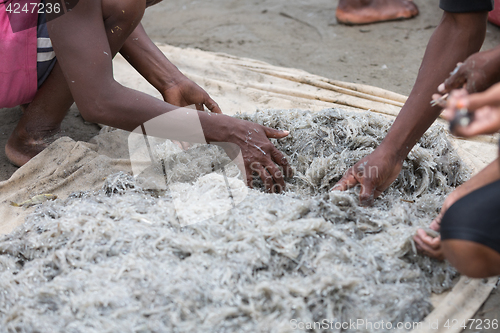 Image of Native Malagasy fishermen fishing on sea, Madagascar