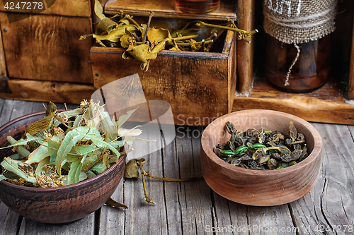 Image of Harvest of medicinal herb