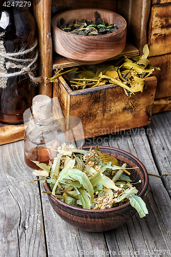 Image of Harvest of medicinal herb