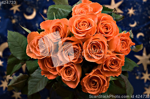Image of roses