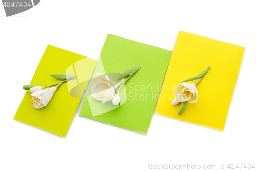 Image of Close up of three yellow envelope with flowers