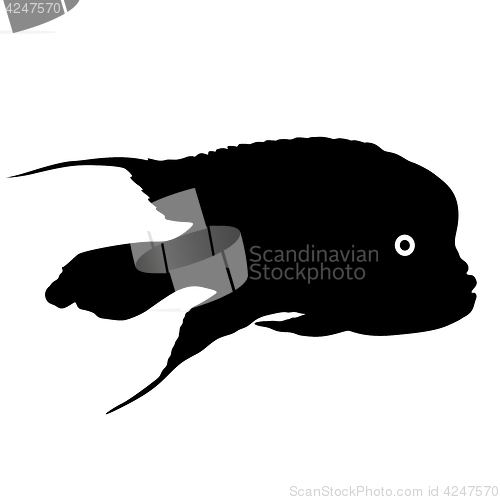 Image of Black silhouette of aquarium fish on white background