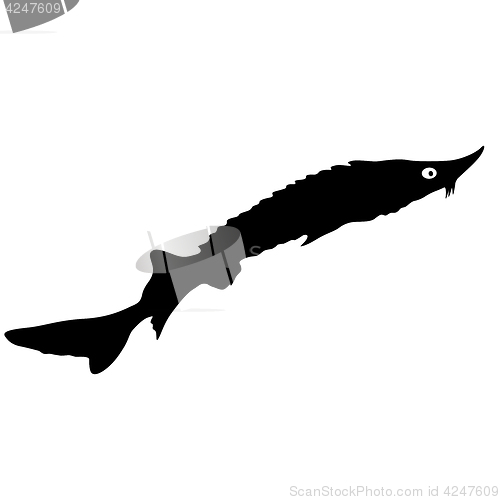 Image of Black silhouette of aquarium fish on white background