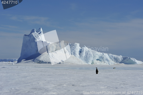 Image of Beautiful view of icebergs Snow Hill Antarctica