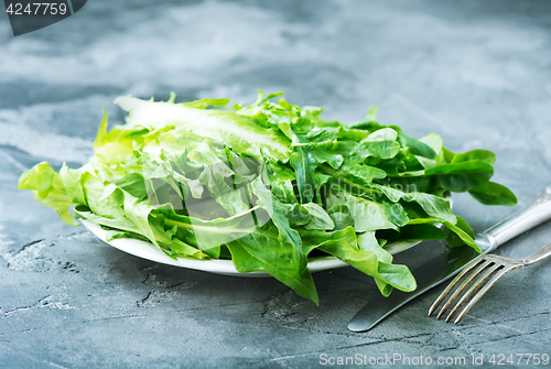 Image of rucola