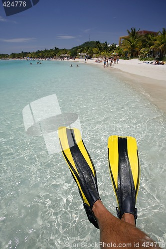 Image of Man in Flippers