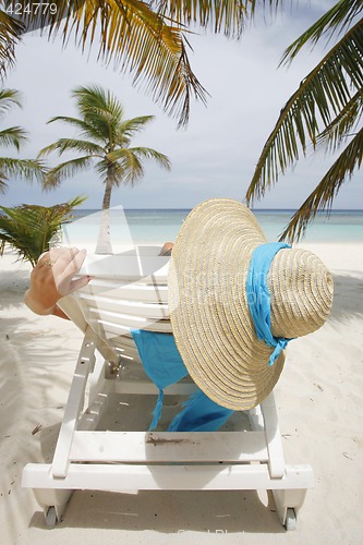 Image of Tropical Beach Scene