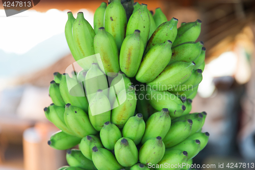 Image of bunch of green bananas at street market