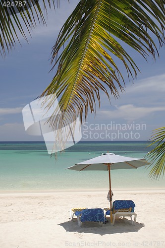 Image of Beach Scene