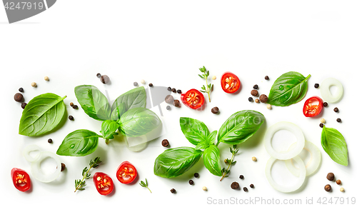 Image of fresh herbs and spices