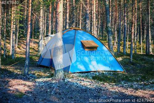 Image of Blue Tent In A Summer Forest