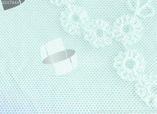 Image of Fragment Of A Pastel Floral Lace Background