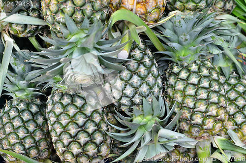 Image of Pineapples at the village market 