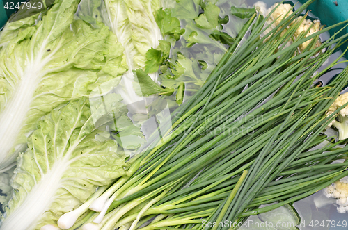 Image of Fresh vegetables in a basin