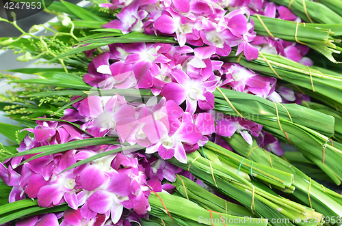 Image of Bouquets of purple and white orchid flowers 