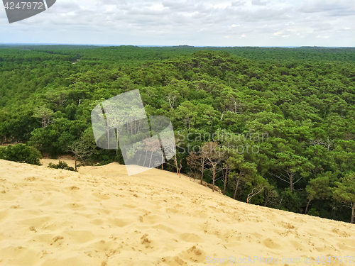 Image of View from the top of Dune du Pilat, France