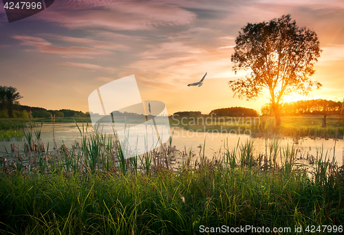 Image of Dusk over river