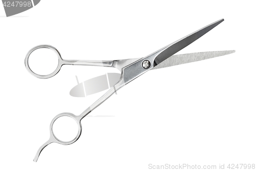 Image of Barber scissors on white