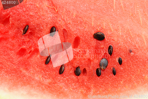 Image of Watermelon