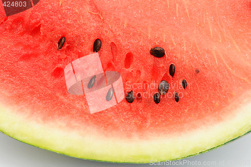 Image of Watermelon