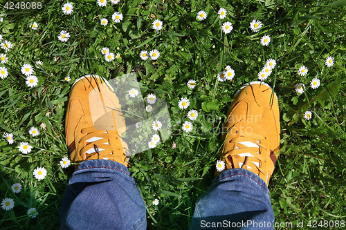 Image of sports shoes on green grass