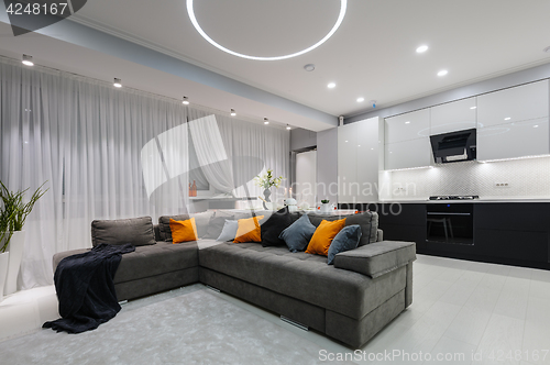 Image of Modern white kitchen and living room