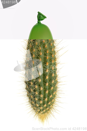 Image of Abstract cactus small balloons 